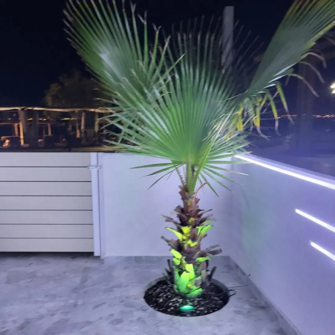 Sun Sea No 7 First Line Apartment Peraia   Peraia (Thessaloniki)